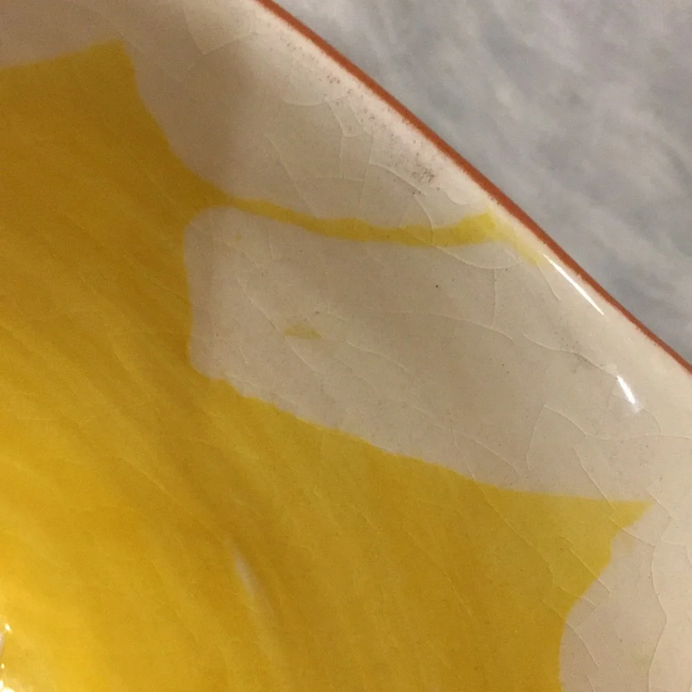 Crate & Barrel Sunflower Juicing Bowl glazed Ceramic Portugal NWT 7.5”x6.5”